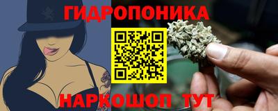 хмурый Берёзовский