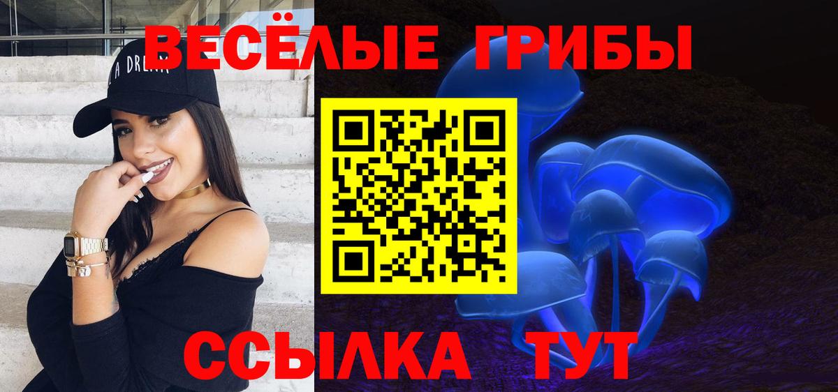 Псилоцибиновые грибы Cubensis Большой Камень